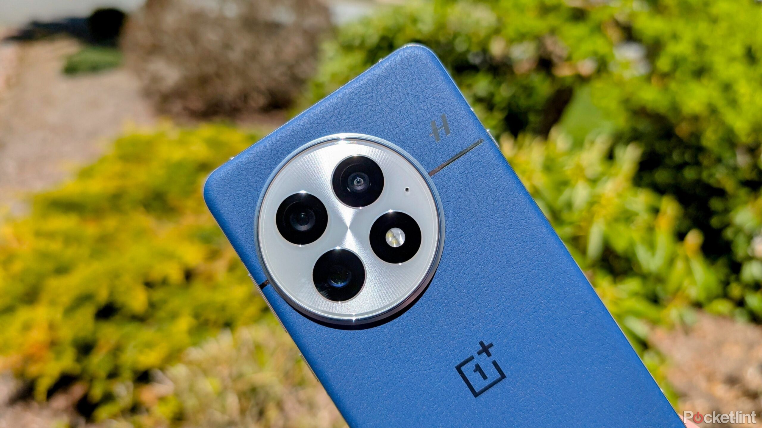 The OnePlus 15 could take a step back in camera quality